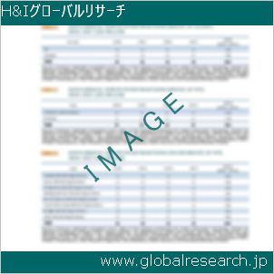 グローバルリサーチ調査レポートのイメージ